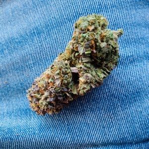 Meet your Posher, Emiliano